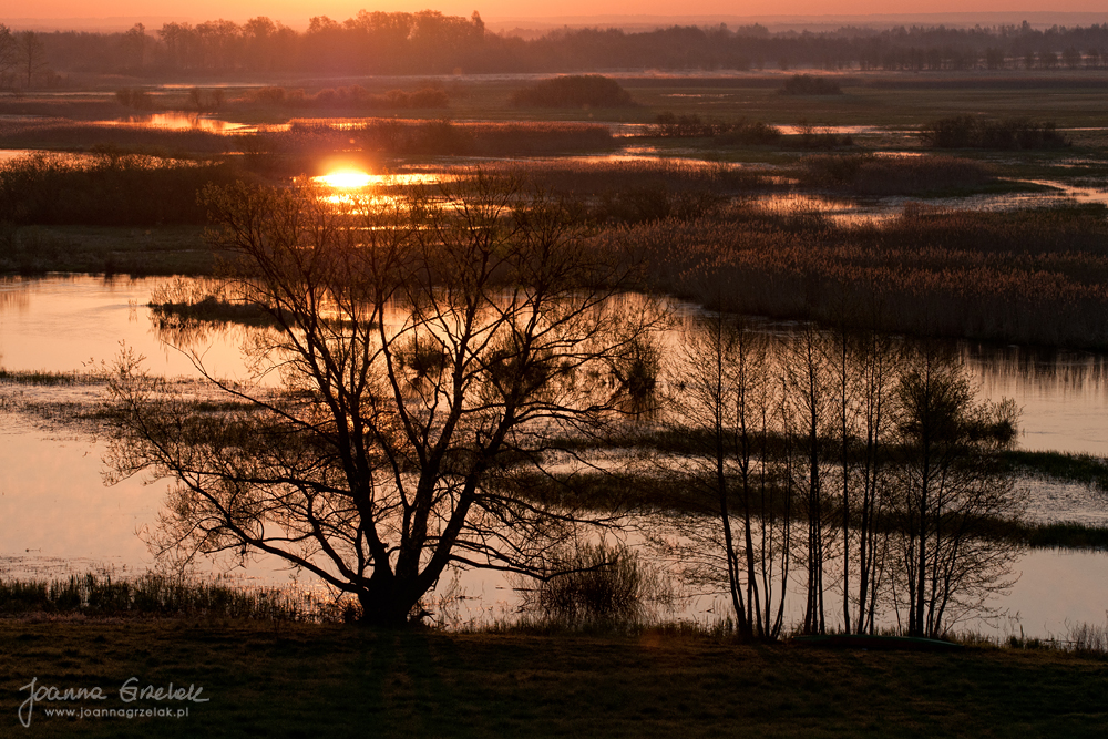 011_Biebrza - kwiecien 2012.jpg